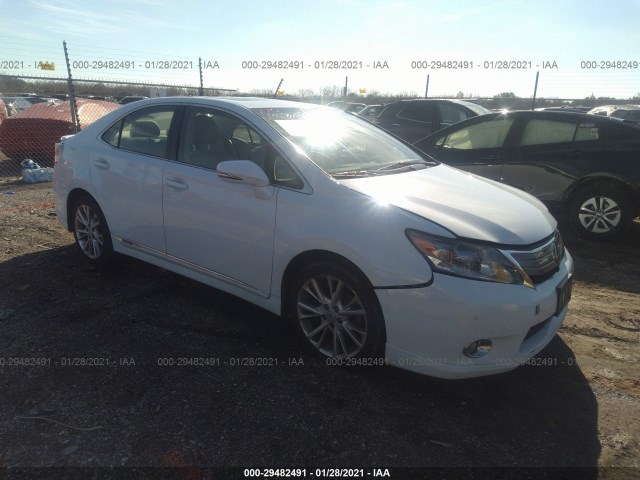 LEXUS HS 250H 2010 jthbb1ba3a2002988