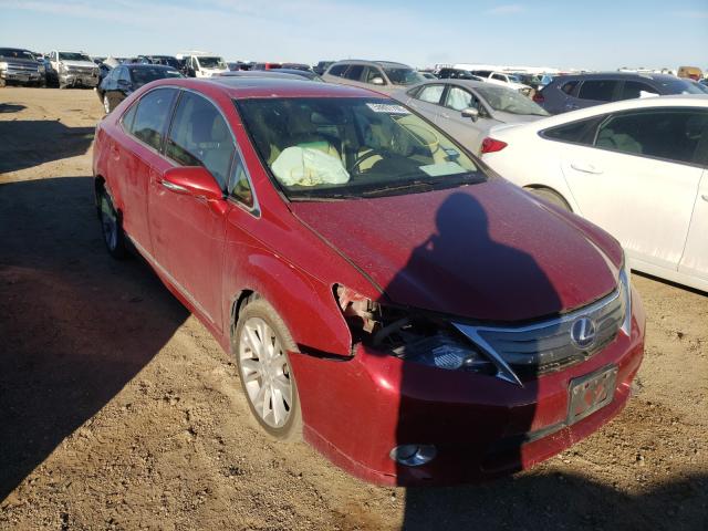 LEXUS HS 250H 2010 jthbb1ba3a2004062