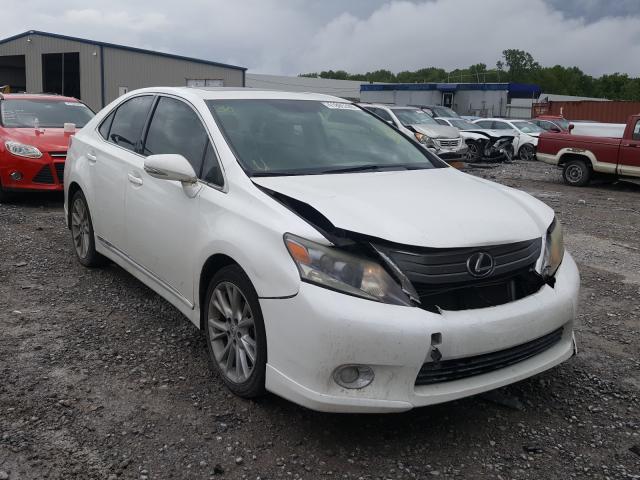 LEXUS HS 250H 2010 jthbb1ba3a2004384