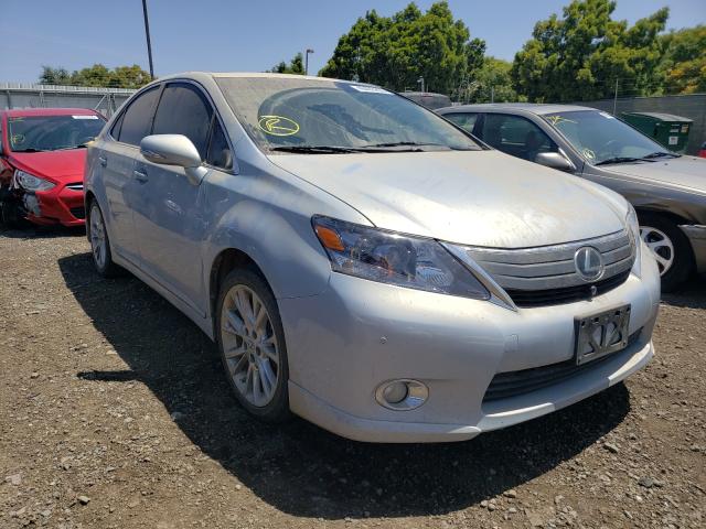 LEXUS HS 250H 2010 jthbb1ba3a2013649