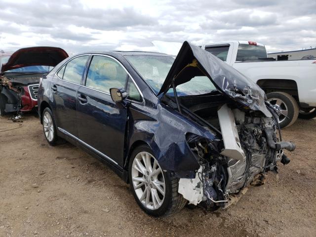 LEXUS HS 250H 2010 jthbb1ba3a2014901