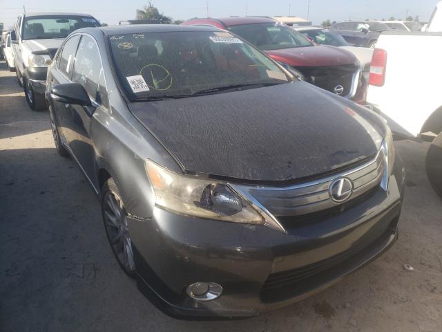 LEXUS HS 250H 2010 jthbb1ba3a2016261