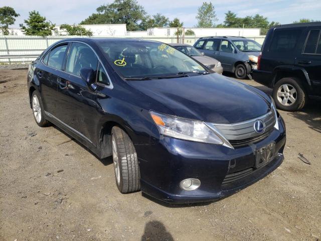 LEXUS HS 250H 2010 jthbb1ba3a2017636