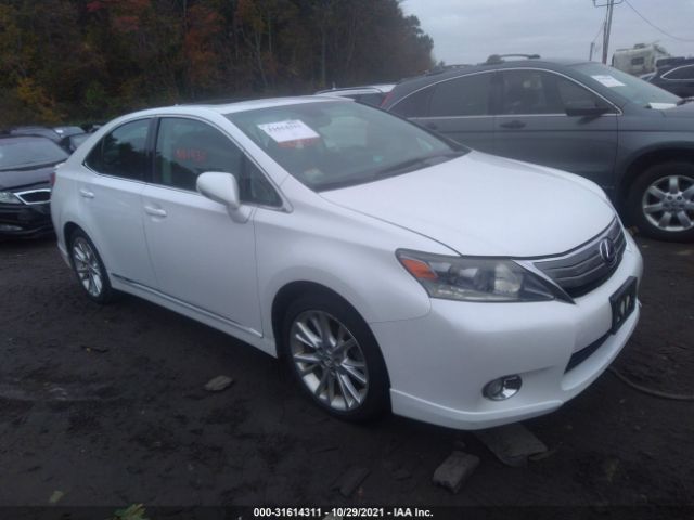 LEXUS HS 250H 2010 jthbb1ba3a2028085