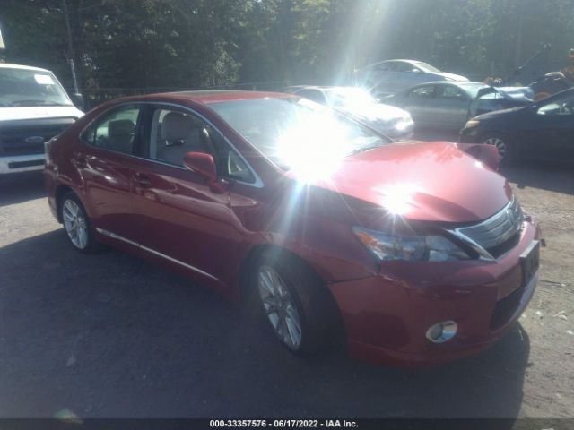 LEXUS HS 250H 2010 jthbb1ba4a2000974