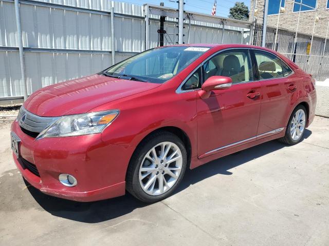 LEXUS HS 2010 jthbb1ba4a2001932