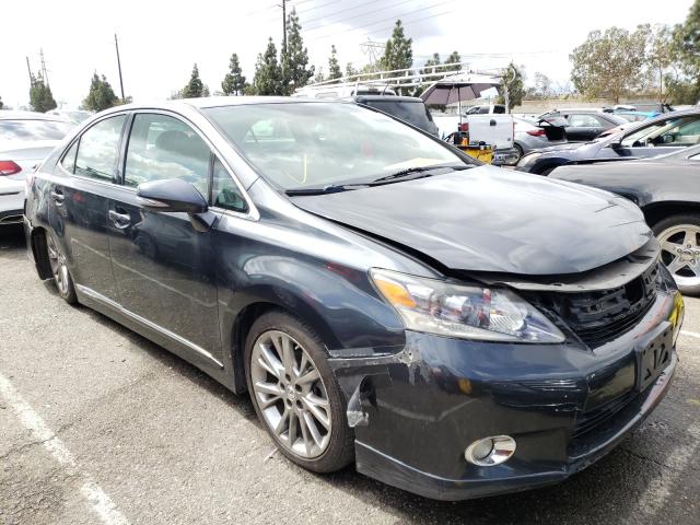 LEXUS HS 250H 2010 jthbb1ba4a2006869