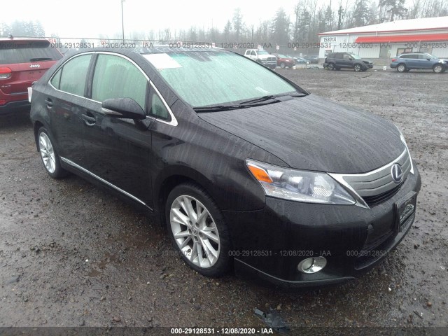 LEXUS HS 250H 2010 jthbb1ba4a2016768