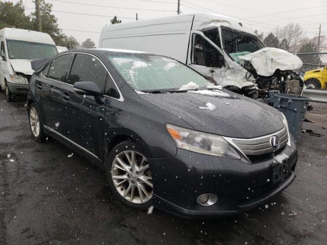 LEXUS HS 250H 2010 jthbb1ba4a2025535