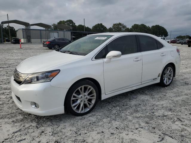 LEXUS HS 250H 2010 jthbb1ba4a2031433