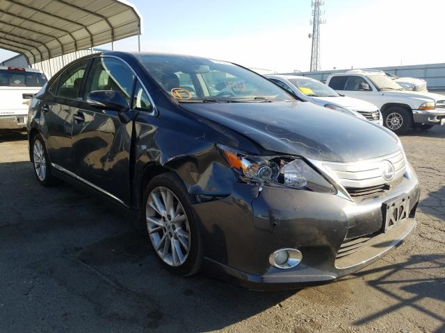 LEXUS HS 250H 2011 jthbb1ba4b2043552