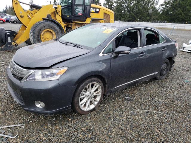 LEXUS HS 250H 2010 jthbb1ba5a2004063