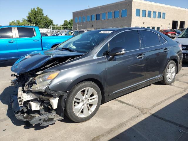 LEXUS HS 250H 2010 jthbb1ba5a2011224