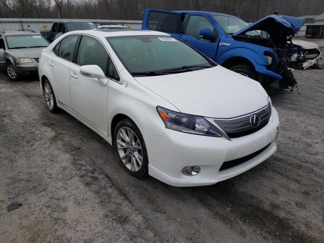 LEXUS HS 250H 2010 jthbb1ba5a2018075