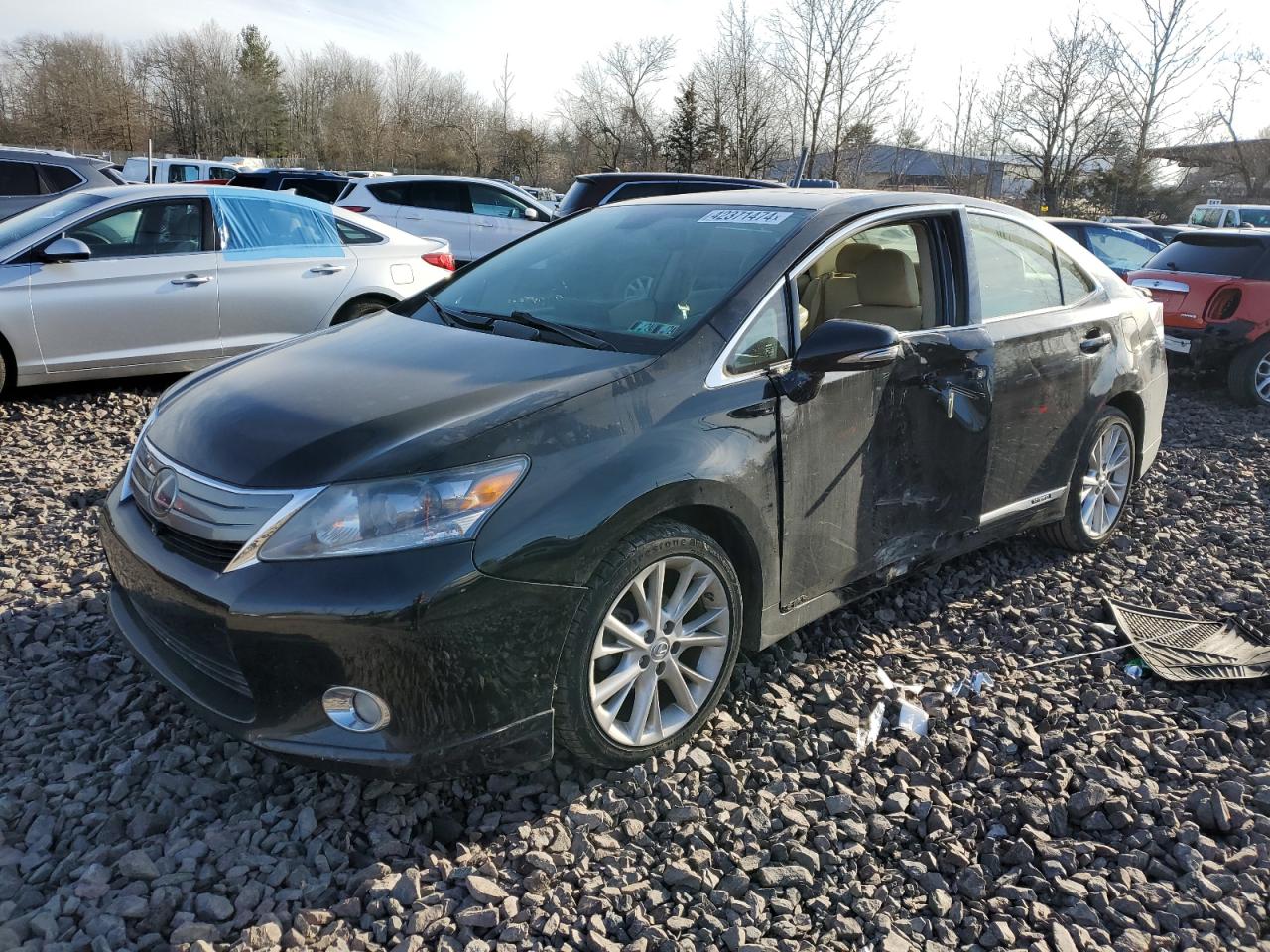 LEXUS HS 2010 jthbb1ba5a2028010