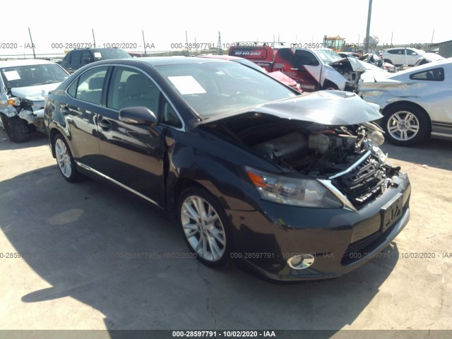 LEXUS HS 250H 2010 jthbb1ba6a2002967