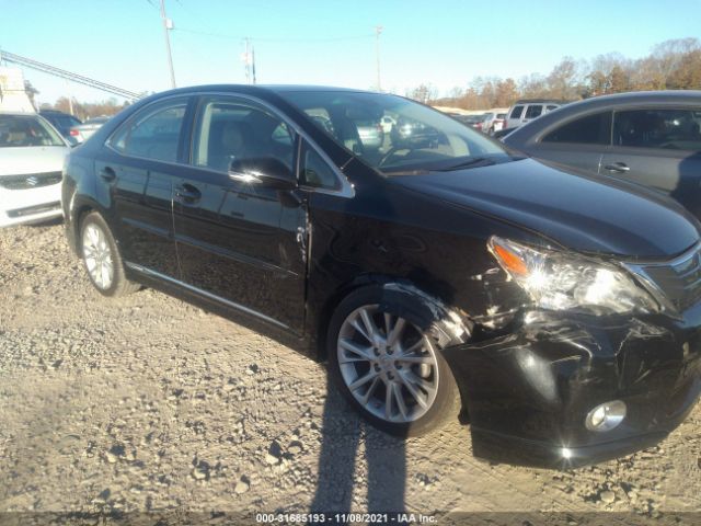 LEXUS HS 250H 2010 jthbb1ba6a2011412