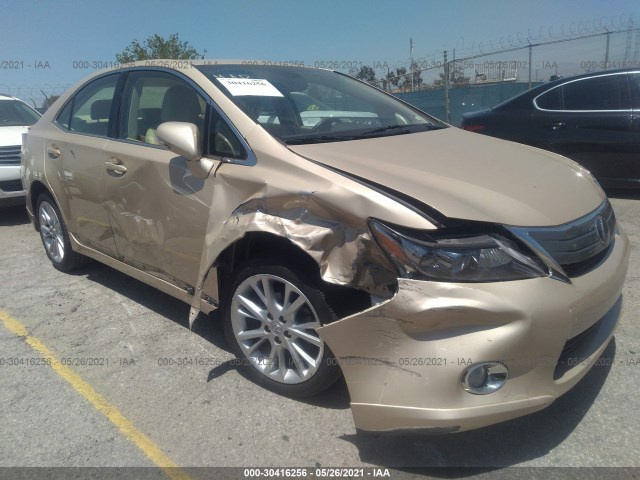 LEXUS HS 250H 2010 jthbb1ba6a2014844