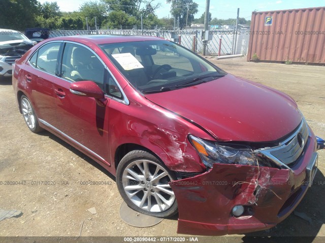 LEXUS HS 250H 2010 jthbb1ba6a2016707