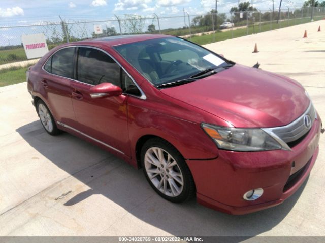 LEXUS HS 250H 2010 jthbb1ba6a2018862