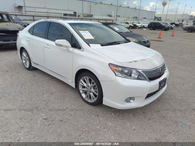 LEXUS HS 250H 2010 jthbb1ba6a2020501