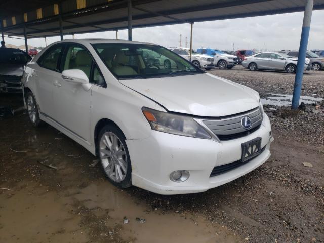 LEXUS HS 250H 2010 jthbb1ba6a2025777