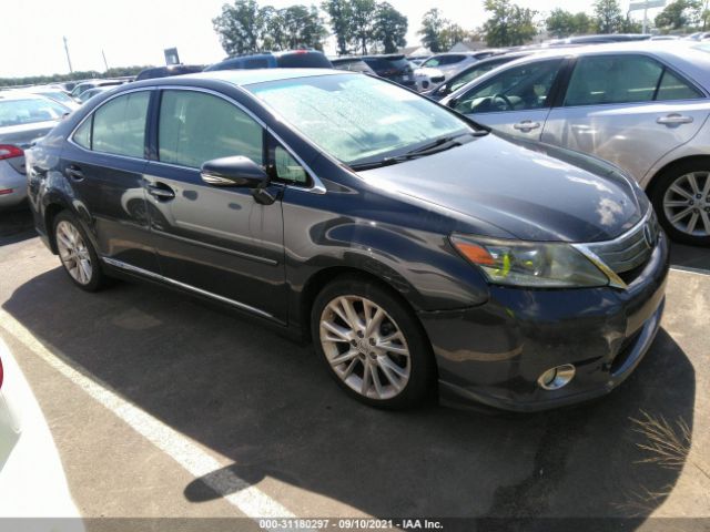 LEXUS HS 250H 2010 jthbb1ba6a2031417