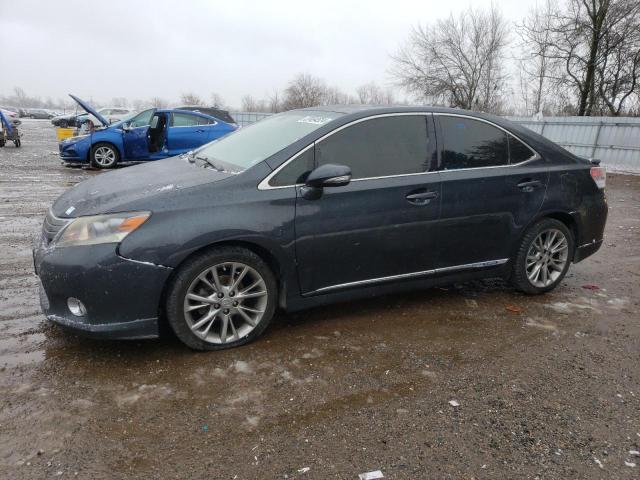 LEXUS HS 2010 jthbb1ba7a2009586