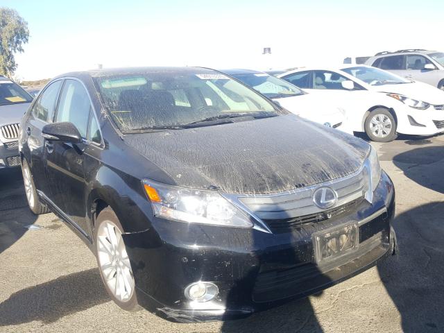 LEXUS HS 250H 2010 jthbb1ba7a2010561