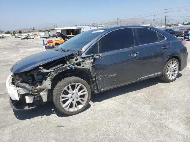 LEXUS HS 250H 2010 jthbb1ba7a2015551