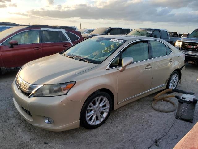 LEXUS HS 250H 2010 jthbb1ba7a2017364