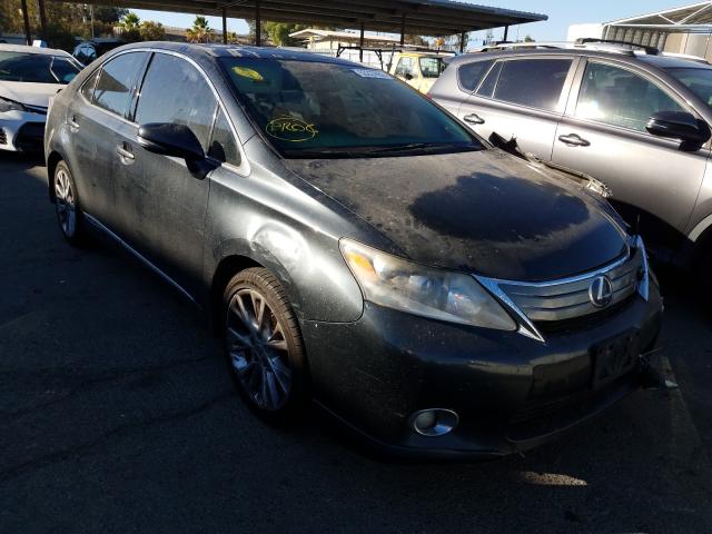 LEXUS HS 250H 2010 jthbb1ba7a2022306