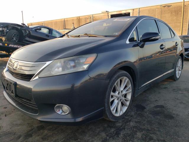 LEXUS HS 250H 2010 jthbb1ba7a2038182