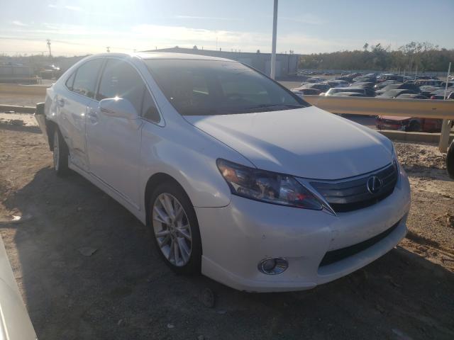 LEXUS HS 250H 2010 jthbb1ba8a2004641