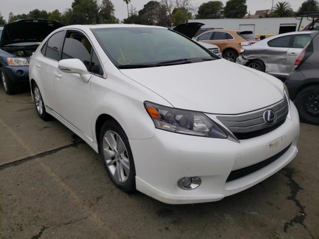 LEXUS HS 250H 2010 jthbb1ba8a2010052