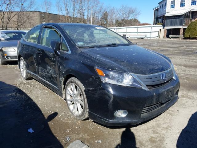 LEXUS HS 250H 2010 jthbb1ba8a2010679