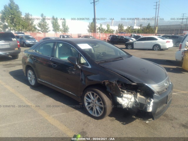 LEXUS HS 250H 2010 jthbb1ba8a2011265