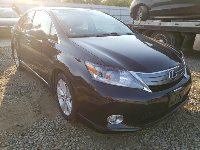 LEXUS HS 250H 2010 jthbb1ba8a2025358