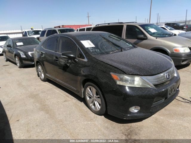 LEXUS HS 250H 2010 jthbb1ba9a2005782