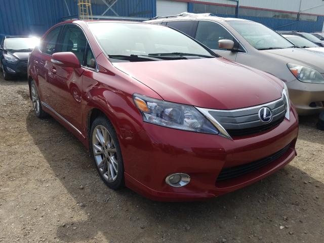 LEXUS HS 250H 2010 jthbb1ba9a2015115