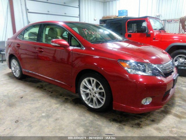 LEXUS HS 250H 2010 jthbb1ba9a2024641