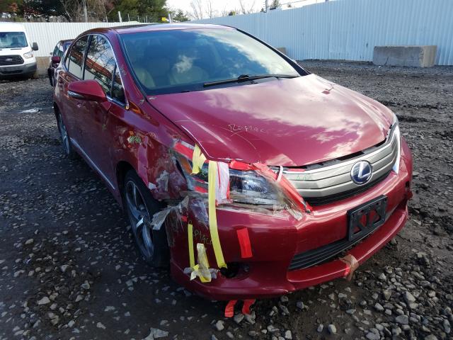 LEXUS HS 250H 2010 jthbb1ba9a2026325