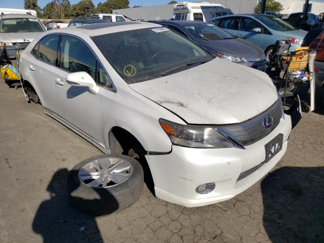 LEXUS HS 250H 2010 jthbb1ba9a2031198