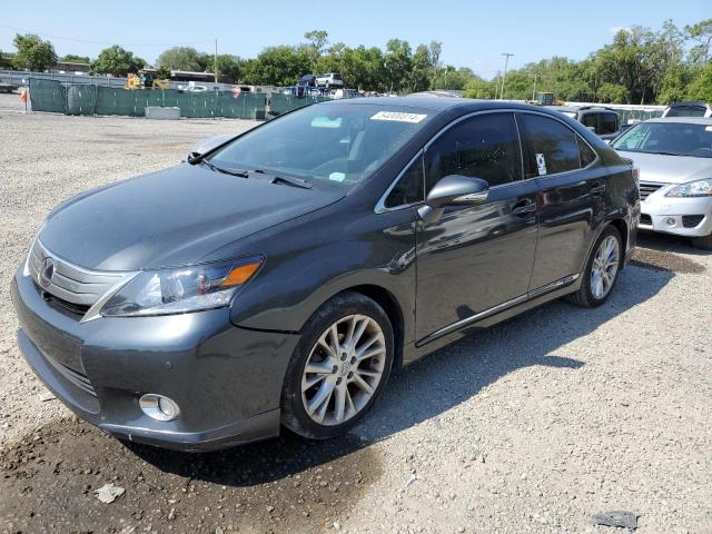 LEXUS HS 2010 jthbb1ba9a2033713