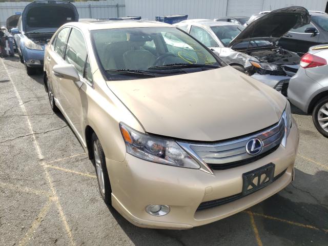 LEXUS HS 250H 2010 jthbb1baxa2010330