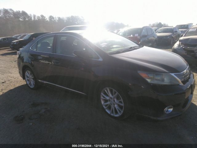 LEXUS HS 250H 2010 jthbb1baxa2012224