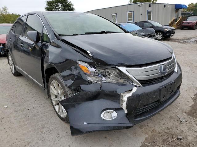 LEXUS HS 250H 2010 jthbb1baxa2013213