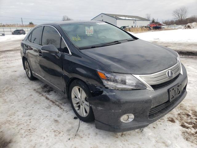 LEXUS HS 250H 2010 jthbb1baxa2016712