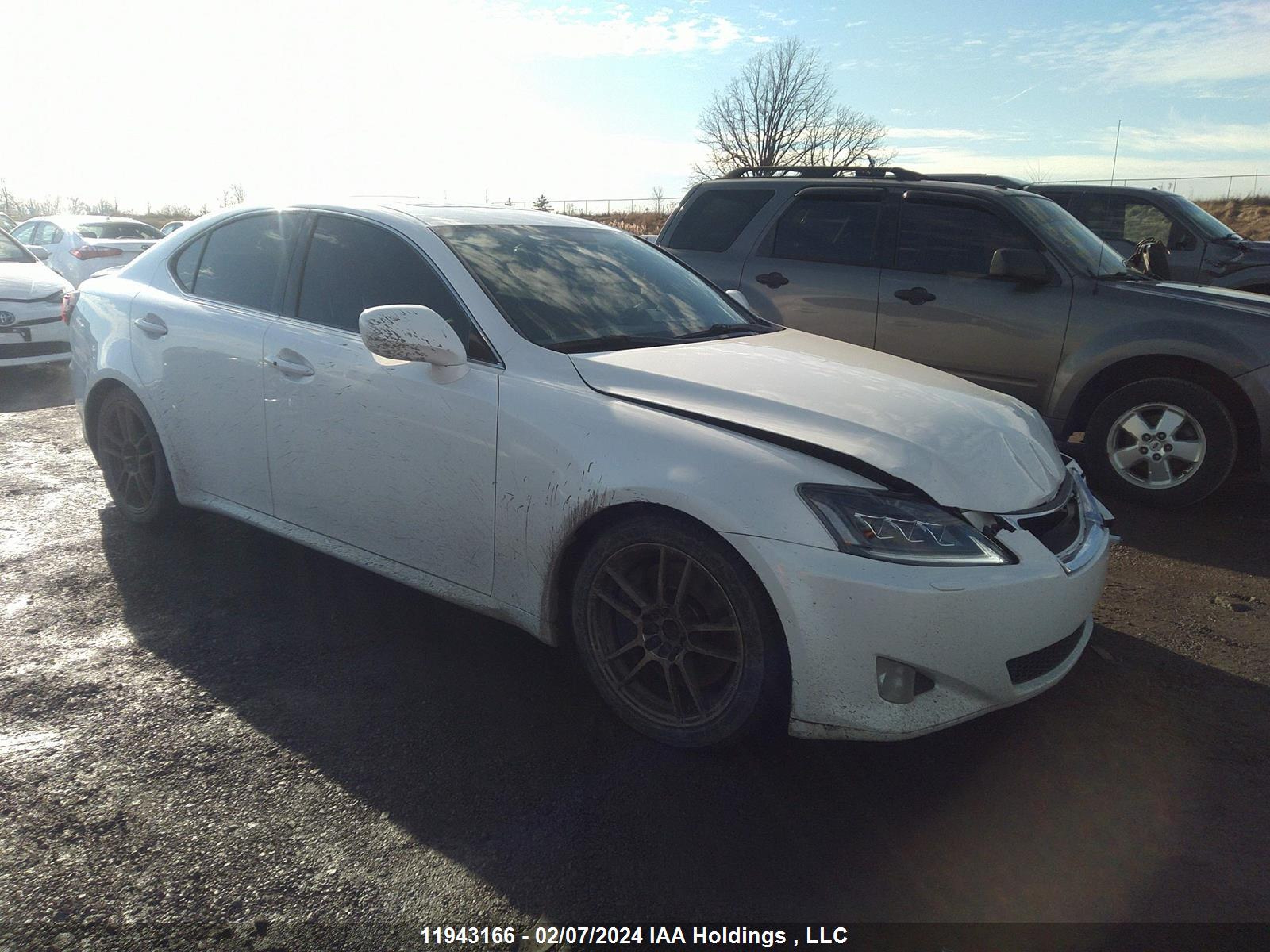 LEXUS IS 2008 jthbe262x85020624