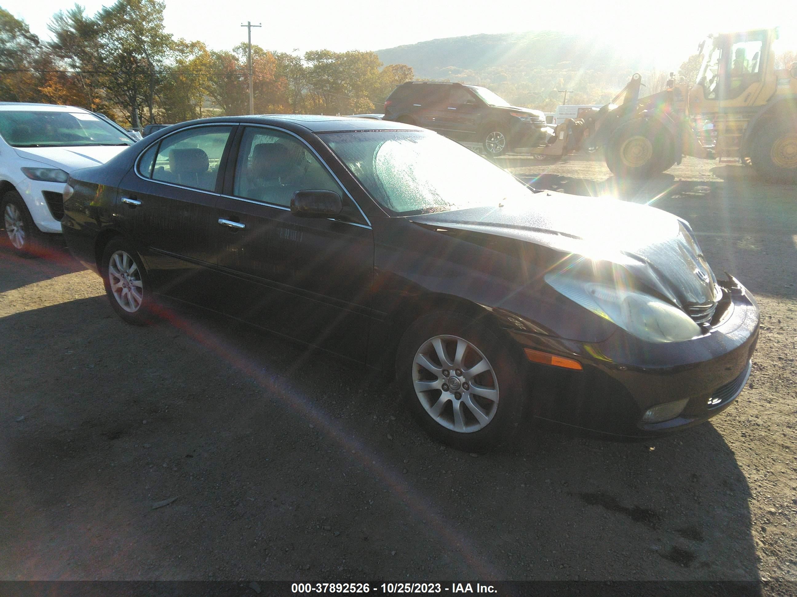 LEXUS ES 2002 jthbf30g025037074